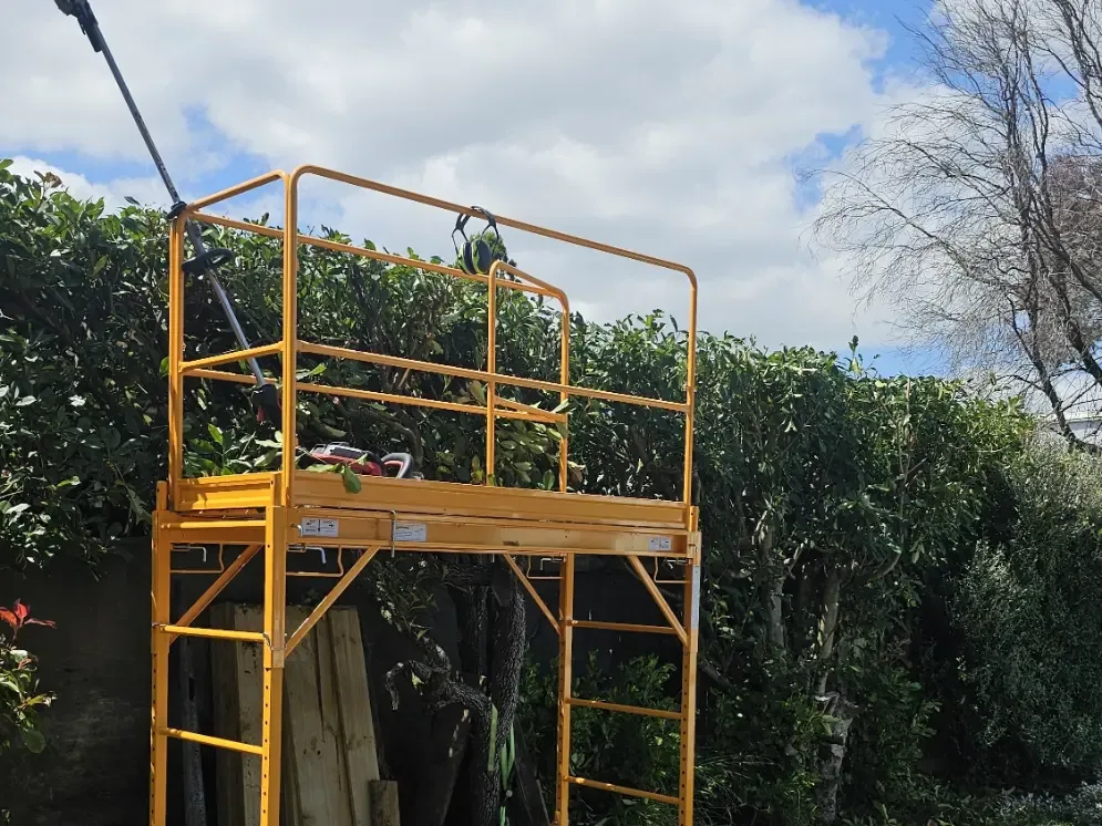 Hedge trimming equipment
