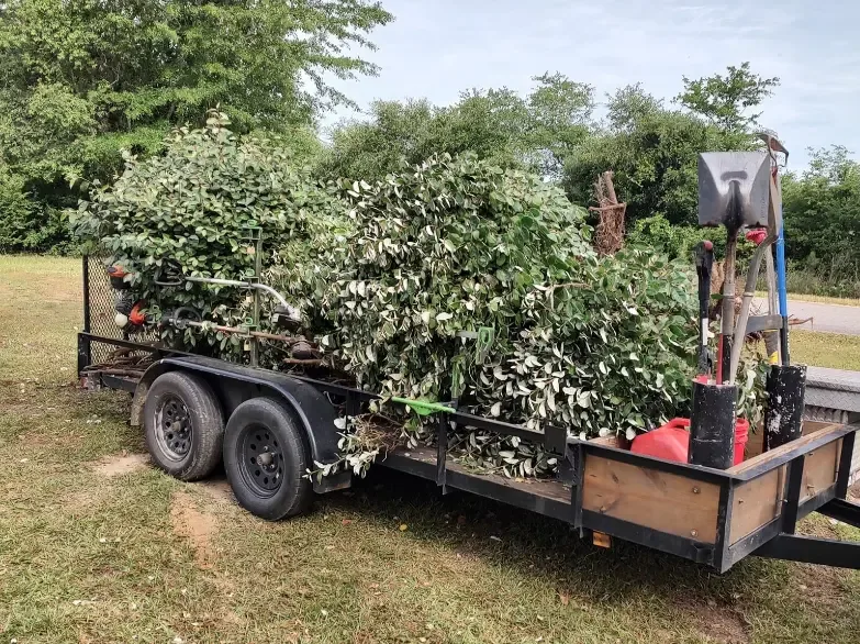 Landscaping debris removal